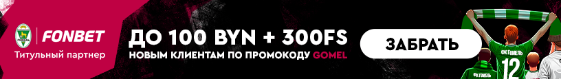 banner(816х115)_гомель (2) (1).png