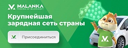 Состав команды